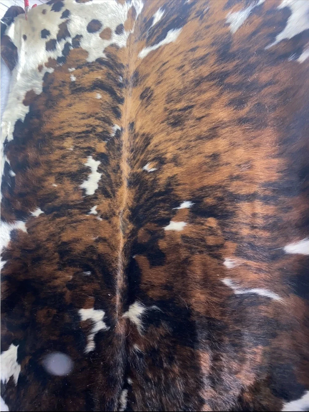 Cowhide rugs